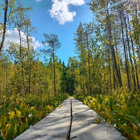 Relaxing With Sauna Kotimajoitukset *