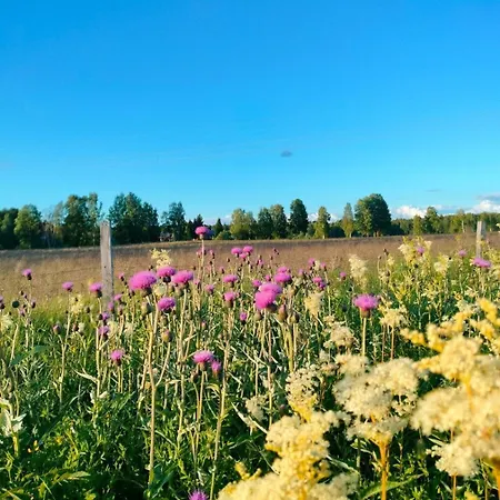 Kotimajoitukset Relaxing With Sauna