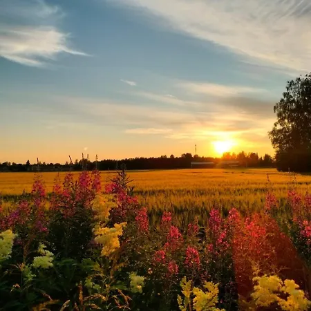 Relaxing With Sauna 民宿 *